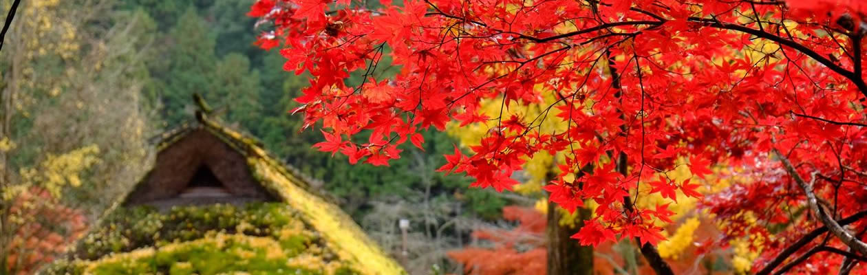 2023年労使共同　第１８回労働安全衛生研修会　特設ページ