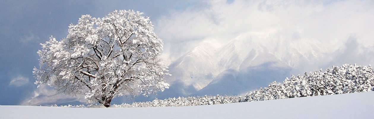 2024年度　労働法セミナー　（Peatix　特設ページ）