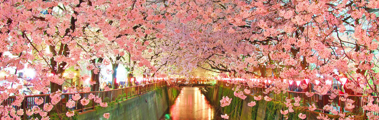 2024年度労働安全衛生総合調査　（Googleフォーム）